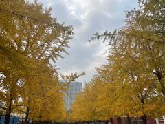 -辽宁大学(崇山校区)