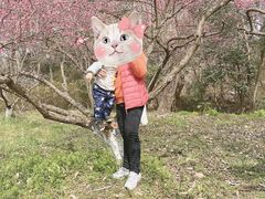 -南山风景名胜区