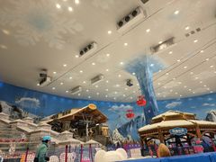 -长沙湘江冰雪世界