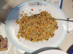 -港升鱼师傅·中山脆肉鲩