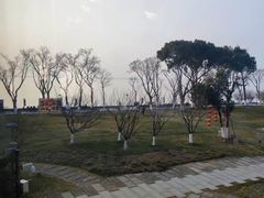 -阳澄湖费尔蒙酒店