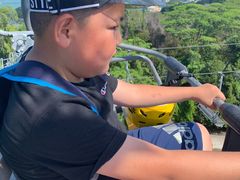 -圣淘沙天际线斜坡滑车