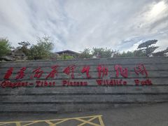 -青藏高原野生动物园