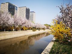 -海棠花溪(元大都城垣遗址公园)