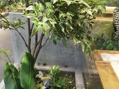 -吴家·非遗淮扬小馆(镇江万达广场店)