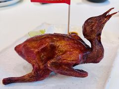 -侨美·唐荔园·40年地道粤菜