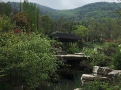 -习家池