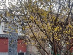 -汝州市汝瓷博物馆