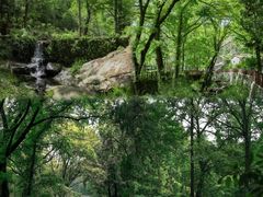 -素山寺森林公园