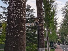 -北京友谊宾馆·俄罗斯餐厅