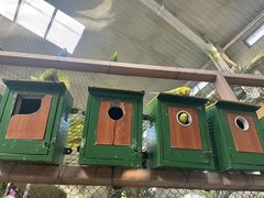 -南宫五洲植物乐园