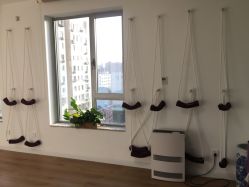 -酉嘉瑜伽YO+YOGA