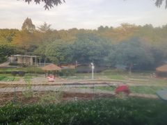 -天河儿童公园