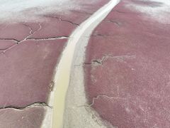 -红海滩国家风景廊道