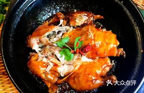 Imperial Court Duck