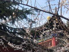 -西安市广仁寺