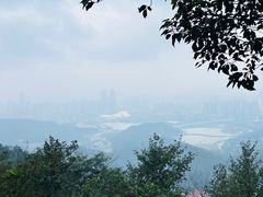 -岳麓山风景名胜区