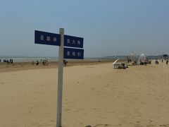 -日照海滨国家森林公园