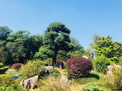 -华南国家植物园-售票处