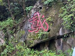 -靖西鹅泉风景区