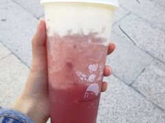 多肉石榴-喜茶(迪士尼小镇DP店)