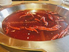 -田鸭肠·非遗火锅(彭州店)