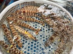 -船奇蒸汽海鲜·闽菜(八市海鲜总店)