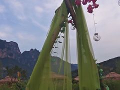 -武家湾景区