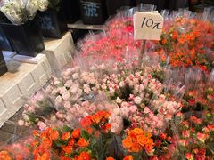 -循礼门鲜花花市(武汉循礼门店)