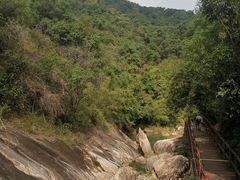 -广州白江湖森林公园