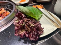 -梨花自助烤肉(西三旗万象汇店)