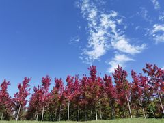 -山东大学(兴隆山校区)