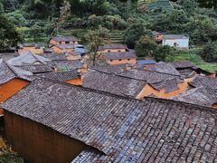 -杨家堂村
