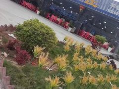 -考记泥焗鸡农庄·海鲜(北洛秘境店)