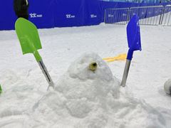 -世界之窗阿尔卑斯冰雪世界