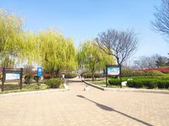 -八大峡公园