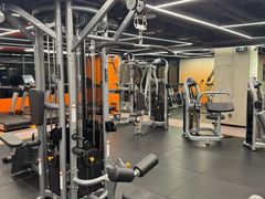 -健身专家Wellness Experts