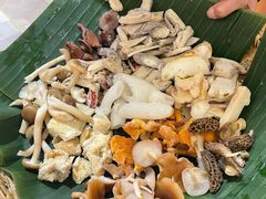 -原林野山菌火锅·炒菌(关上野生菌一条街店)