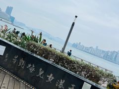 -星光大道