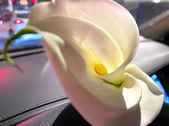 -双季花艺园艺市场(浦东店)