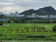 -光明小镇欢乐田园