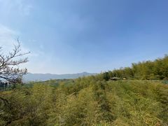 -陶祖圣境风景区