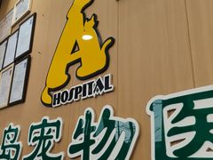 -半岛宠物医院24小时·内窥镜·牙科·碎石中心(府城大道店)