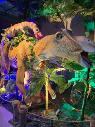 -恐龙探索乐园(磁器口店)