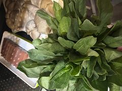 -正福居老北京正宗铜锅泉水涮肉(彰化路店)