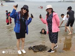 -金沙湖旅游度假区