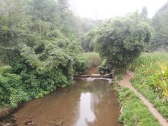 -重庆彩云湖湿地公园