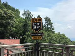 -莫干山风景区