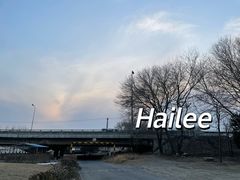 -坝河休闲公园