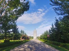 -嘉荫恐龙国家地质公园